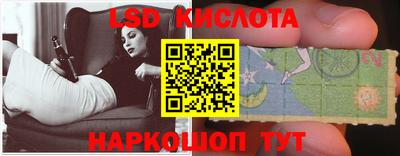 гашик Будённовск