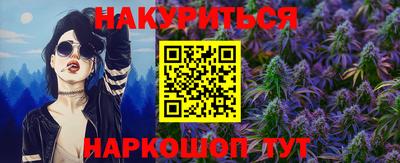 гашик Будённовск