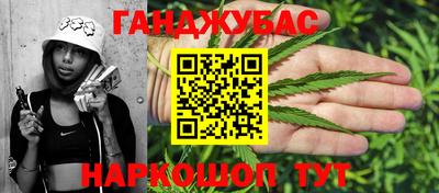гашик Будённовск