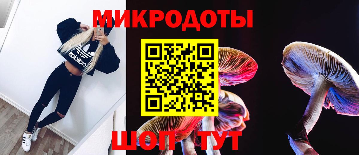 Галлюциногенные грибы Cubensis Костомукша